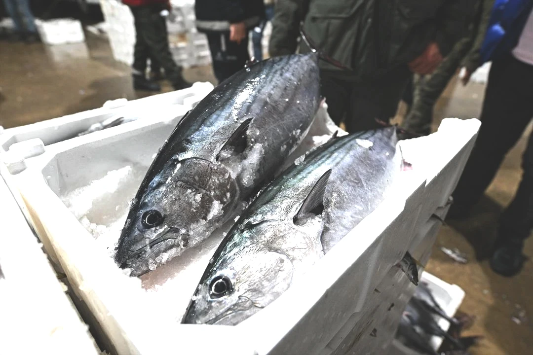 Muazzam bir akın oldu Uzun yıllardır böylesi görülmedi 3