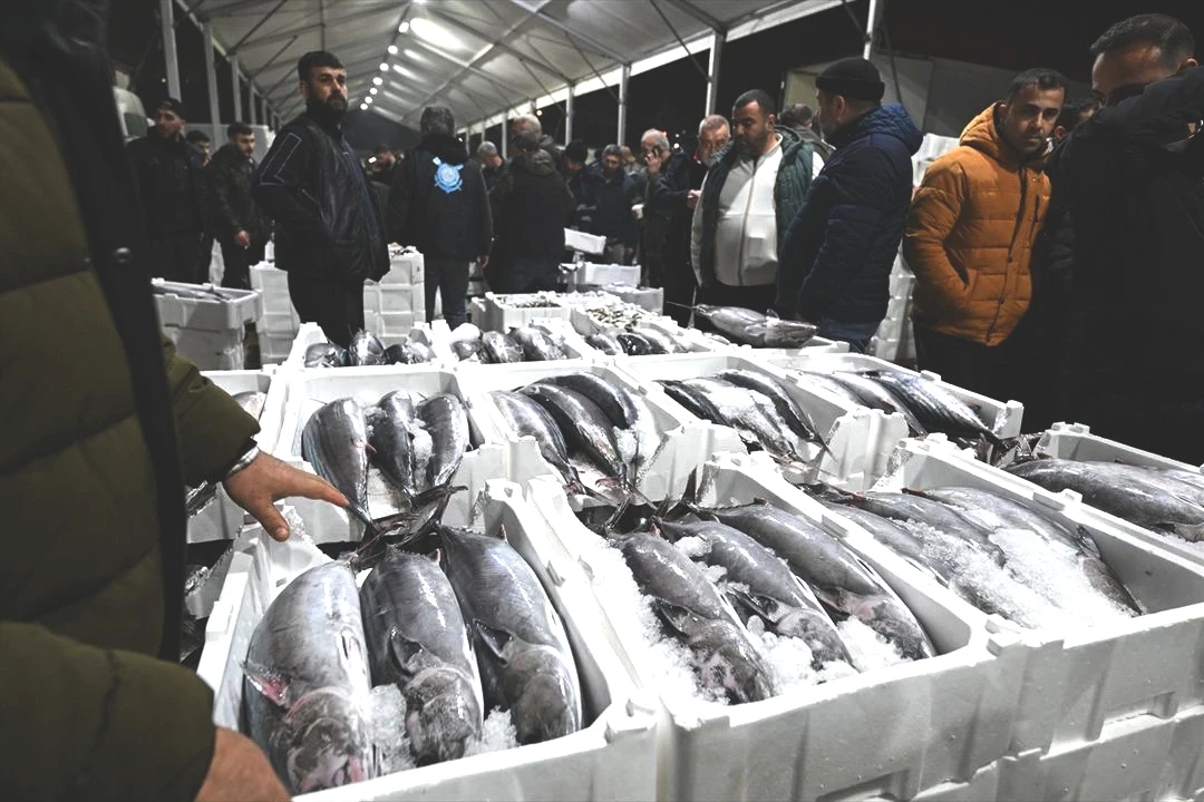 Muazzam bir akın oldu Uzun yıllardır böylesi görülmedi 2