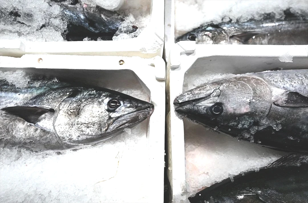 Muazzam bir akın oldu Uzun yıllardır böylesi görülmedi 5