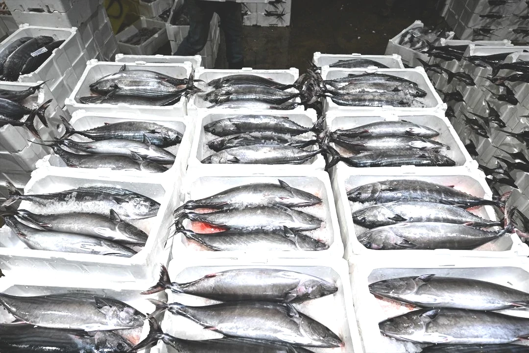 Muazzam bir akın oldu Uzun yıllardır böylesi görülmedi 9