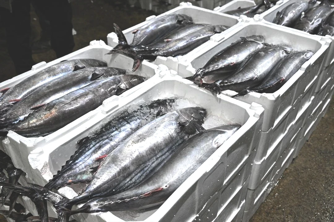 Muazzam bir akın oldu Uzun yıllardır böylesi görülmedi 7