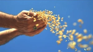 Ihracat Ocak'ta 1 Milyar Dolara Dayandı! Yeni Fırsatlar Kapıda!