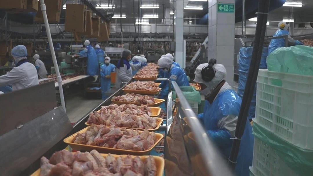 Ticaret Bakanlığı duyurdu! Haksız fiyat artışları sonrası kanatlı eti ihracatı durduruldu 1
