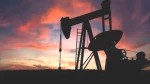 Petrol Fiyatlarında Düşüş! Hürmüz Dosyası Etkili Oluyor 