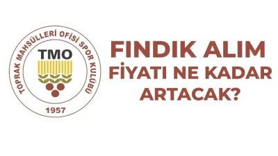 2026-2027 Fındık Alım Fiyatları Açıklandı! TMO'dan Giresun, Levant ve Sivri Fındık Detayları