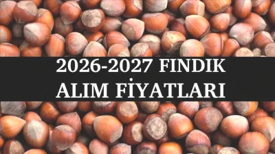 TMO Fındık Alım Fiyatları 2026 Açıklandı! Ek Ödeme Miktarı ve Alım Tarihleri Burada!