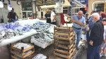 Karadeniz Palamutunda Fiyat Alarmı! Tezgahlarla Tanışın!