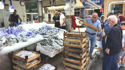 Karadeniz Palamutunda Fiyat Alarmı! Tezgahlarla Tanışın!