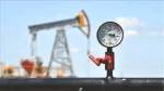 Brent Petrol Fiyatları Pazartesi Gününde Hızla Yükseliyor! İnfografik Rakamlar Burada!