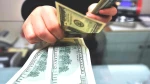 Doların Geleceği İle İlgili Şok Tahminler! Hedge Fonlar Neler Yapıyor?