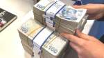 Para Piyasası Fonlarında Devrim: Stopaj Oranı Yüzde 10'a Yükseldi!