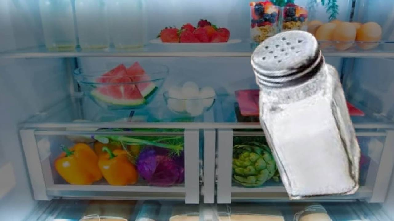 Tuzun Buzdolabında Gizli Saklısı: Nedenini Öğrenince Şaşkınlığı Yaşayacaksınız!