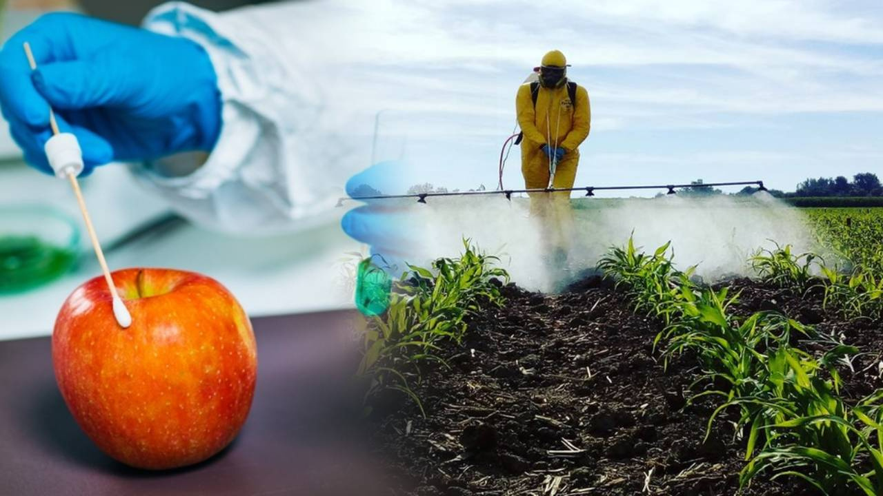 Meyve ve Sebzelerdeki Pestisitleri Uzaklaştırmanın Yeni Yolu: Karbonat ve Sirke Yetersiz Kalıyor!