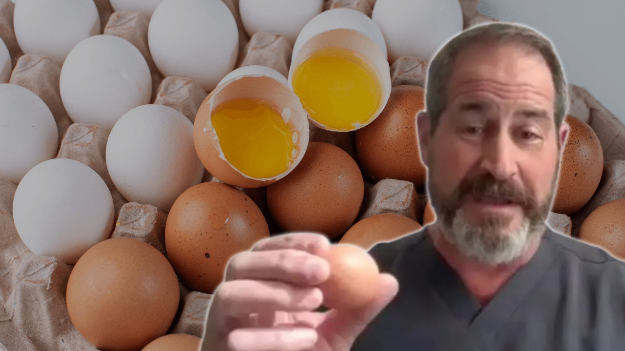 Yumurtanın Yeni Bir Mucizesi: ABD'li Uzman Gerçekleri Ortaya Koydu!