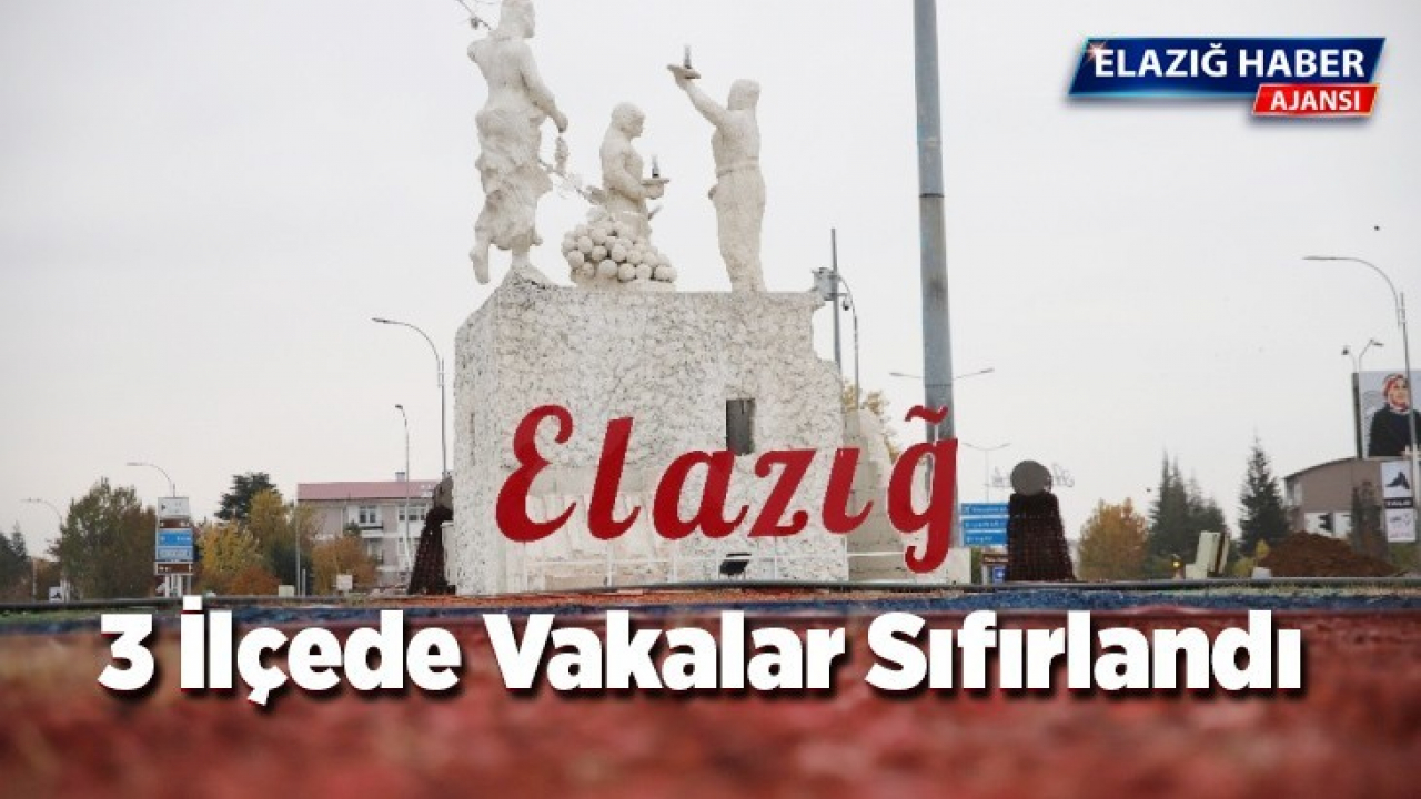 Elazığ'ın 3 ilçesinde vakalar sıfırlandı