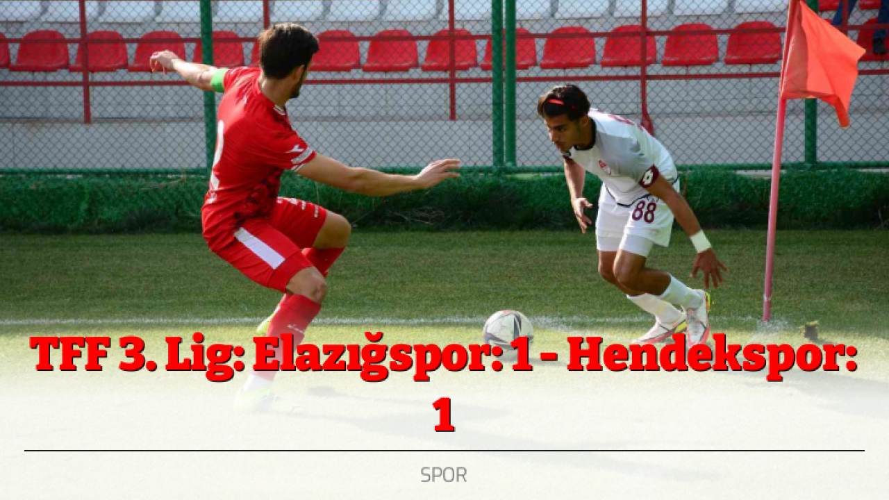 TFF 3. Lig: Elazığspor: 1 - Hendekspor: 1