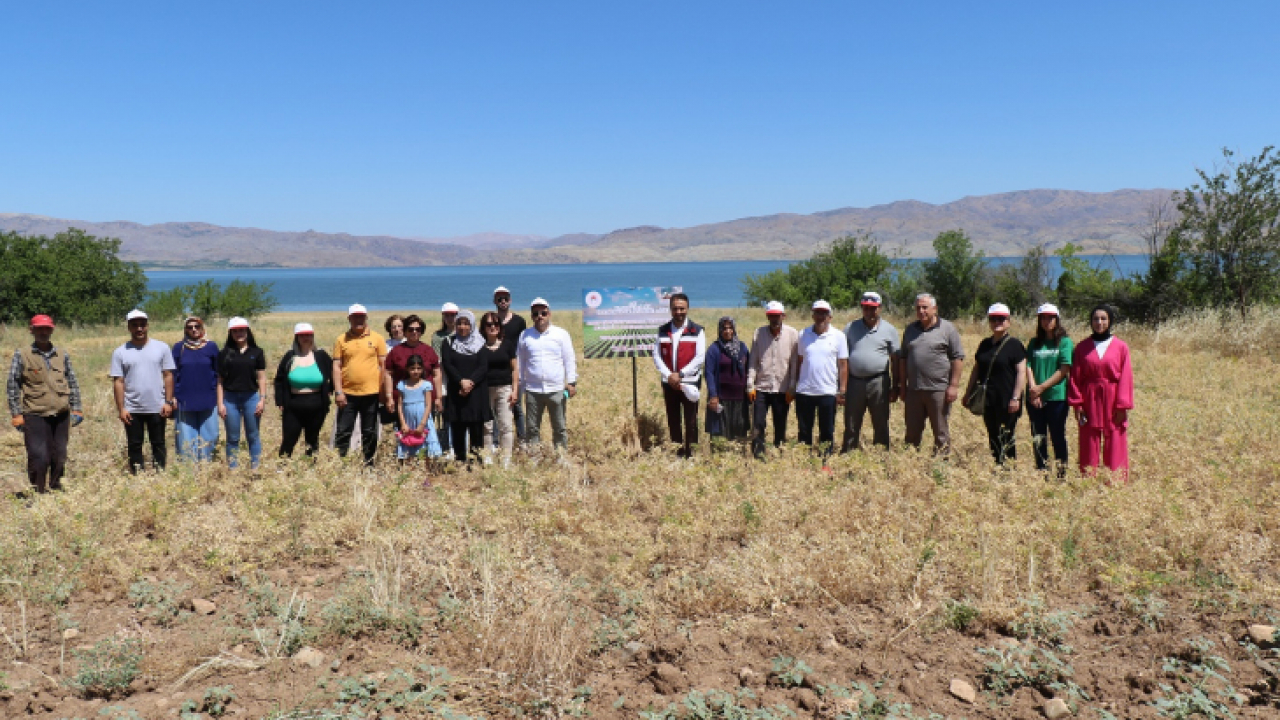 Kadın Çiftçiler Nohut Hasadına Başladı
