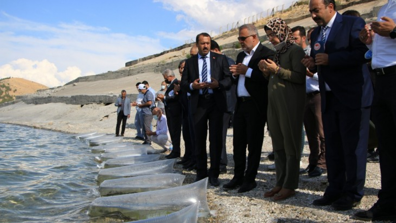 Elazığ'da 21 bin ton balık üretimi