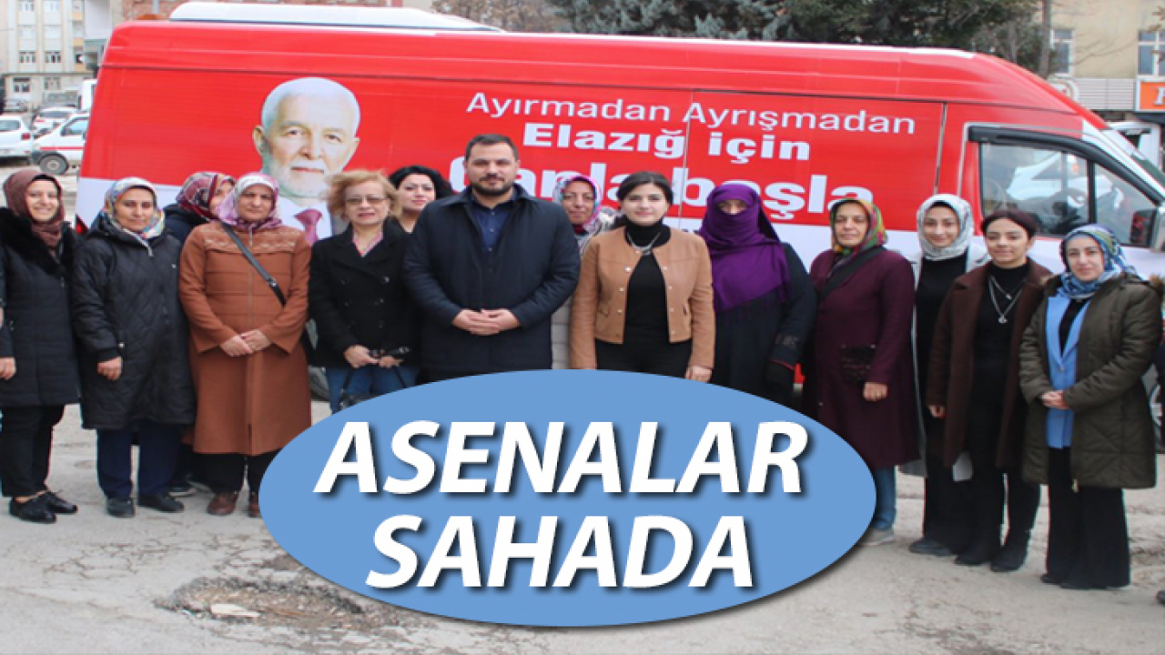 Asenalar Sahada