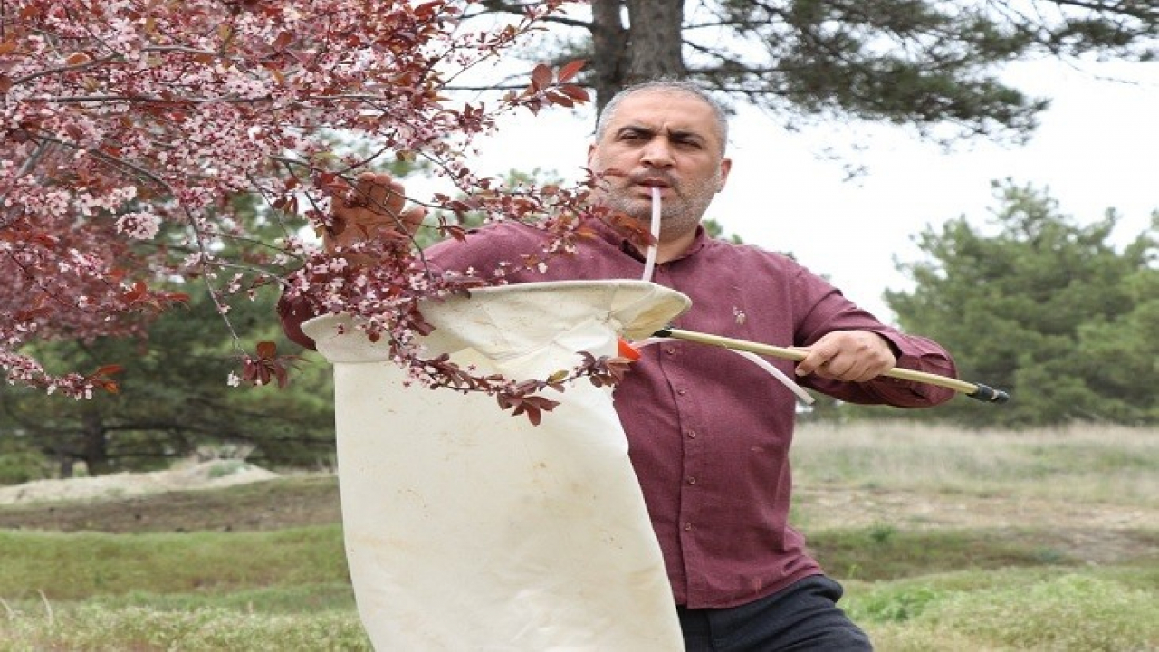 Doğu ve Güneydoğu Bilimsel Çalışmaların Adresi Oldu