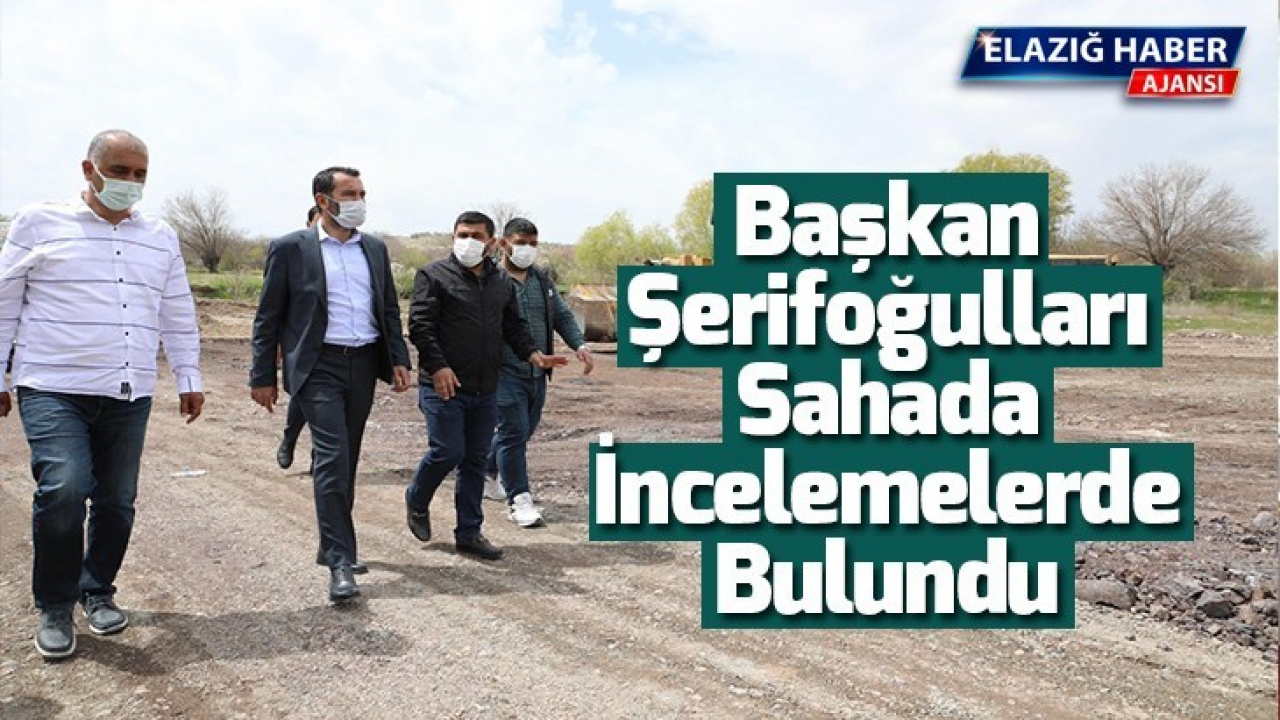 Başkan Şerifoğulları, Sahada İncelemelerde Bulundu