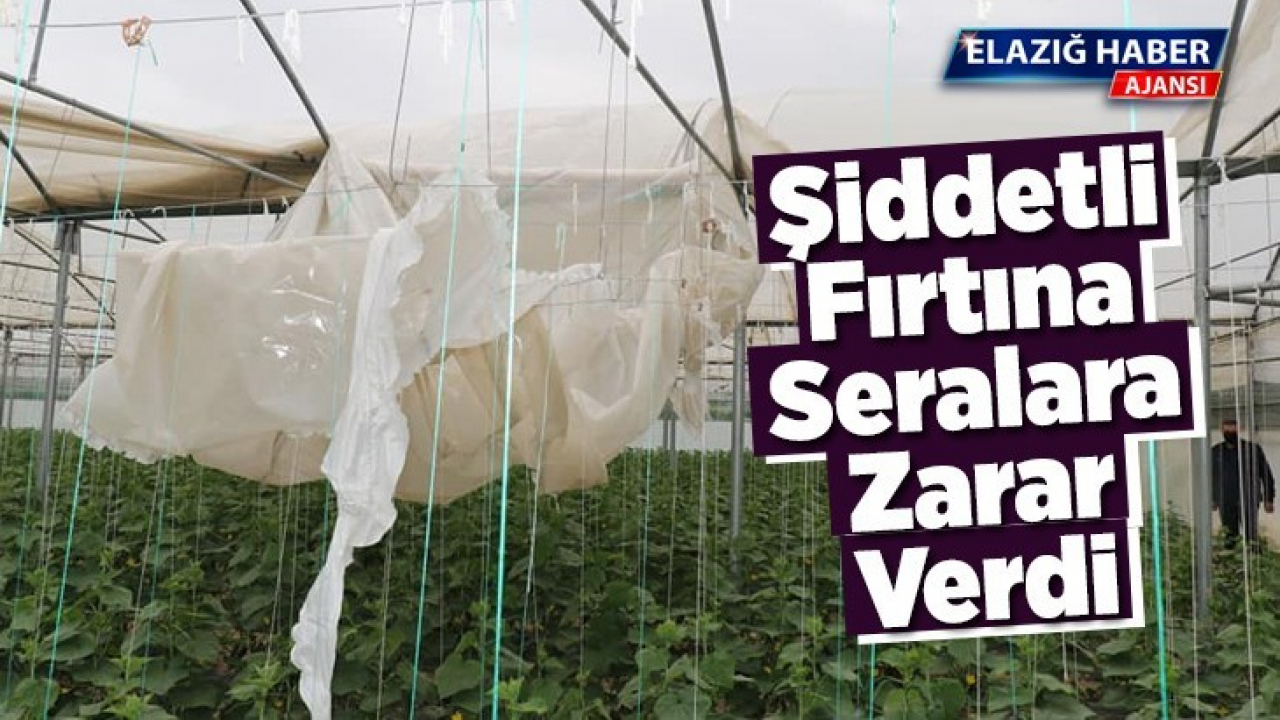 Şiddetli fırtına seralara zarar verdi