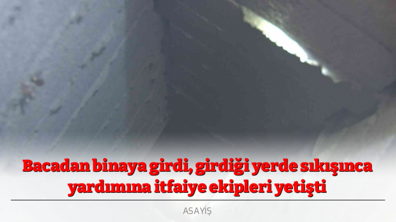 Bacadan binaya girdi, girdiği yerde sıkışınca yardımına itfaiye ekipleri yetişti