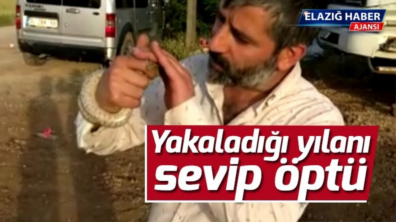 Yakaladığı yılanı sevip öptü