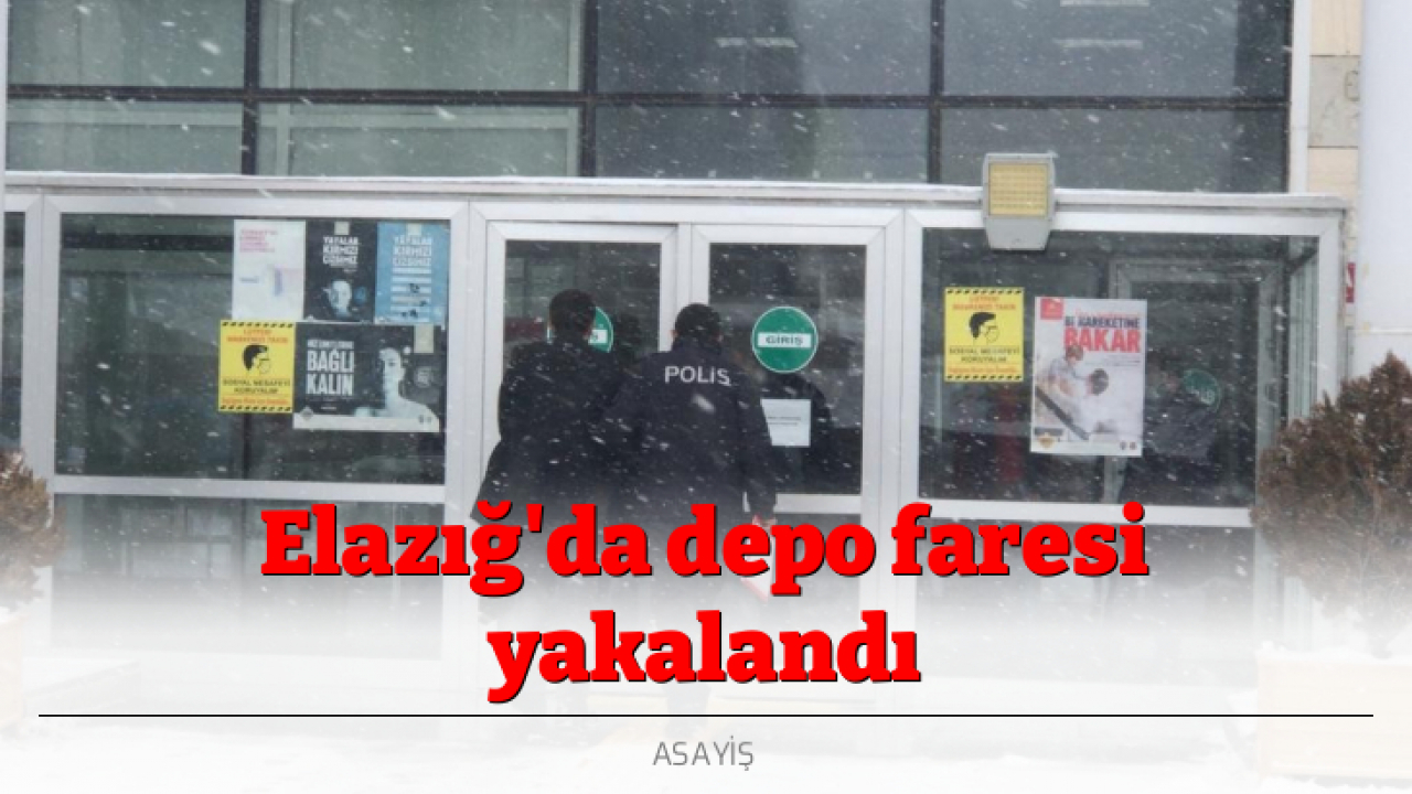 Elazığ'da depo faresi yakalandı