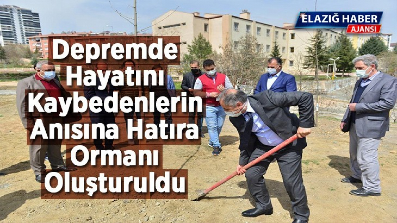 Depremde Hayatını Kaybedenlerin Anısına Hatıra Ormanı Oluşturuldu