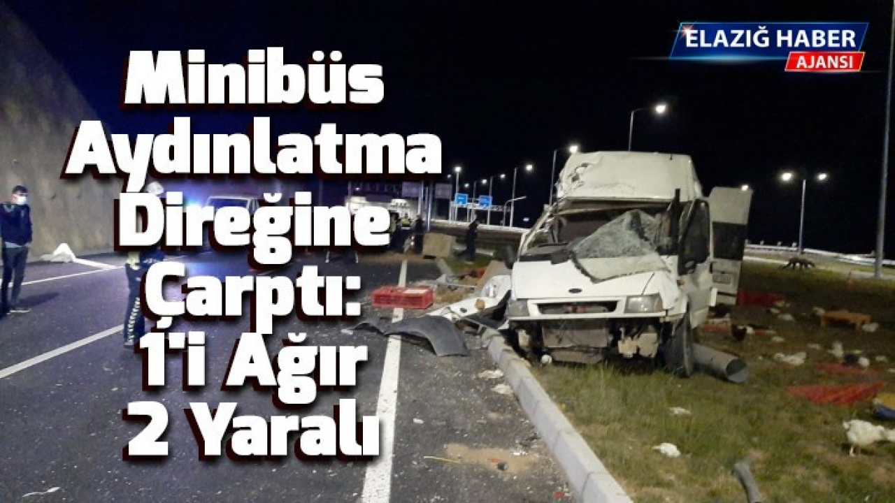 Hayvanları taşıyan minibüs aydınlatma direğine çarptı: 1'i ağır 2 yaralı