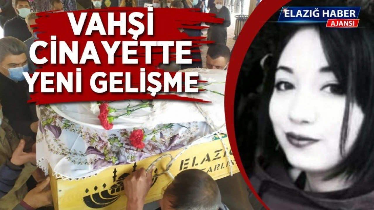 Vahşi cinayette yeni gelişme