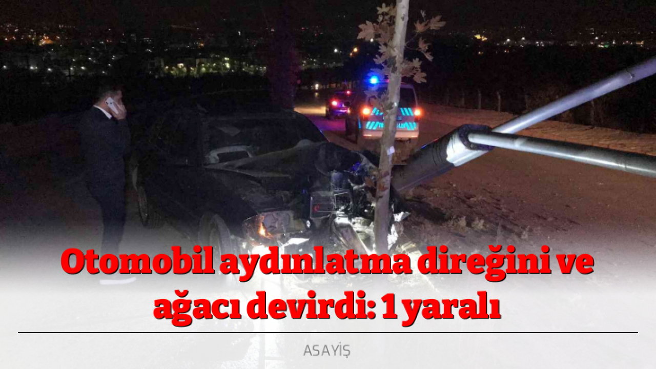 Otomobil aydınlatma direğini ve ağacı devirdi: 1 yaralı