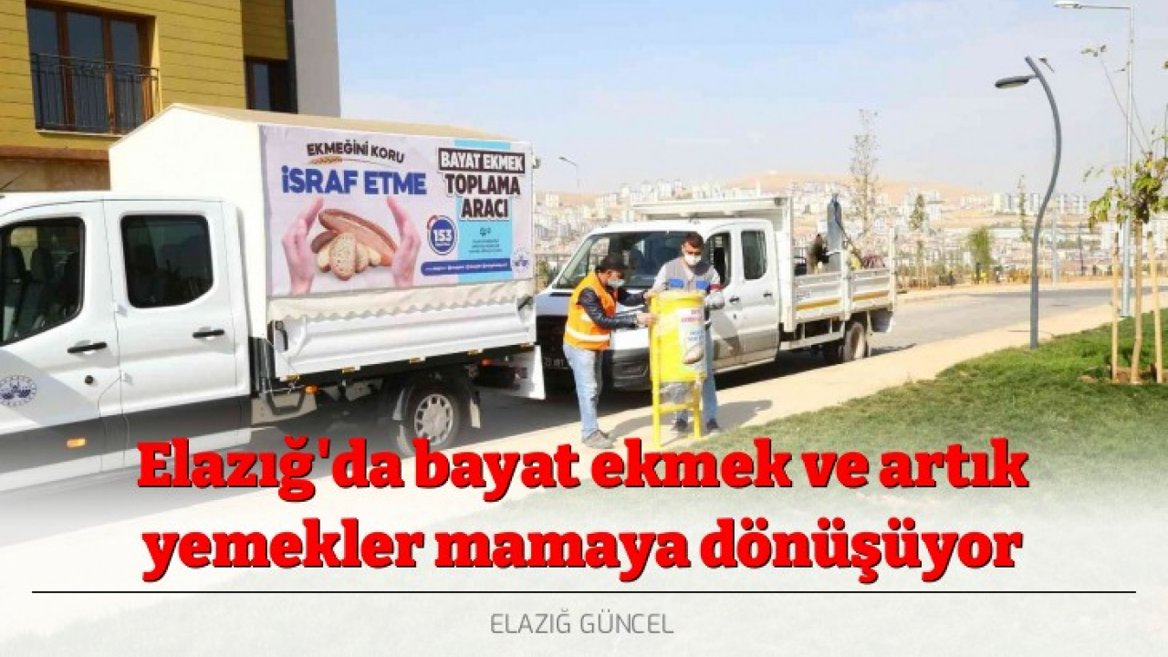 Elazığ'da bayat ekmek ve artık yemekler mamaya dönüşüyor