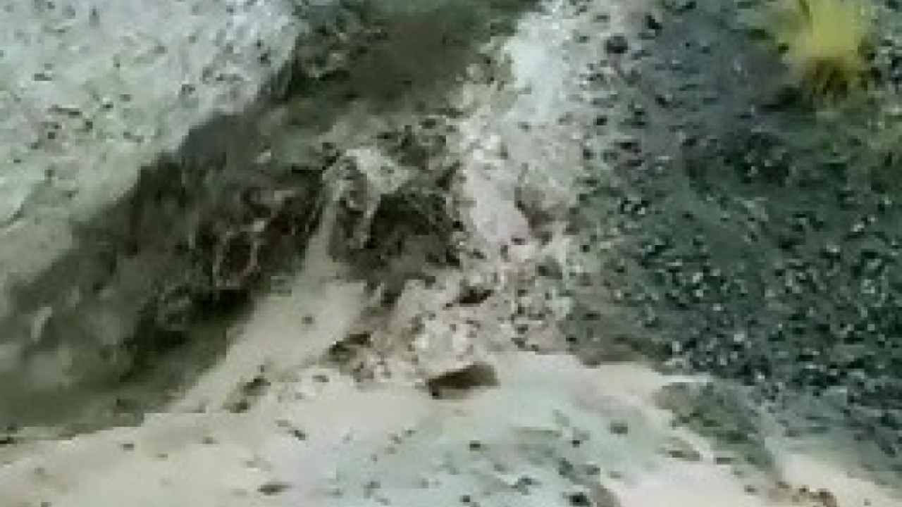 Elazığ'da dere taştı, köy yolu çöktü