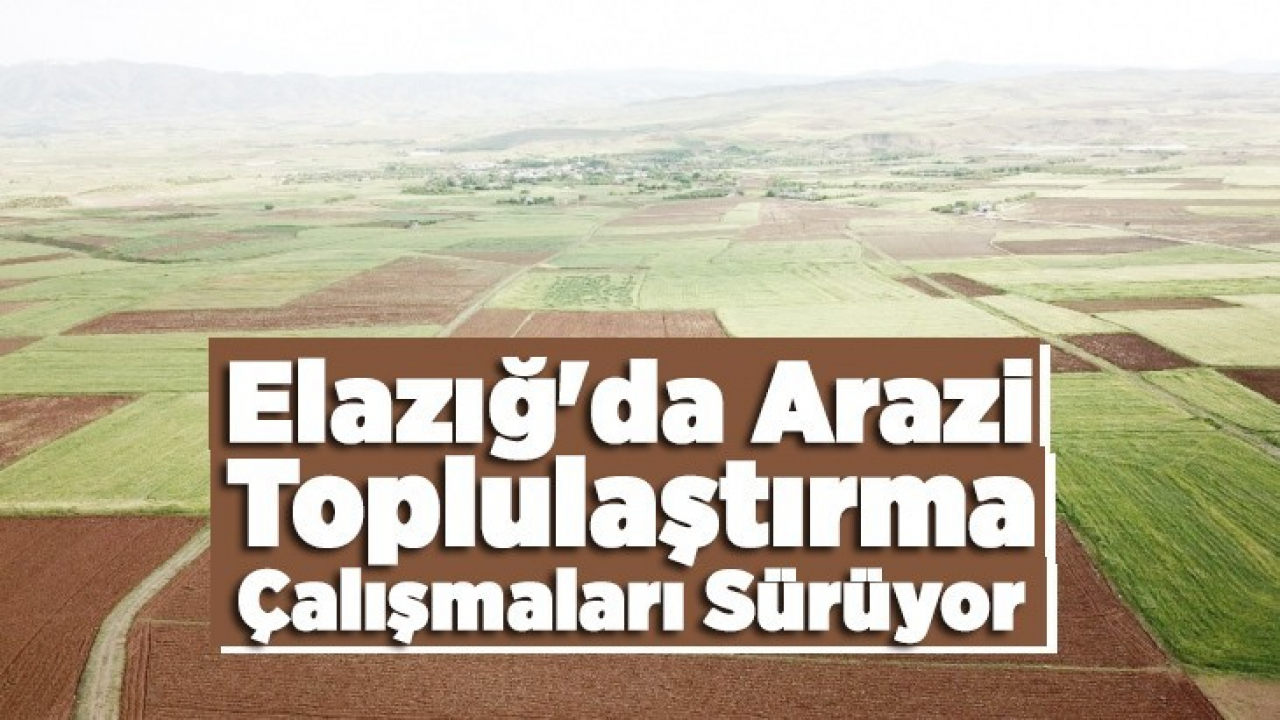 Elazığ'da arazi toplulaştırma çalışmaları sürüyor