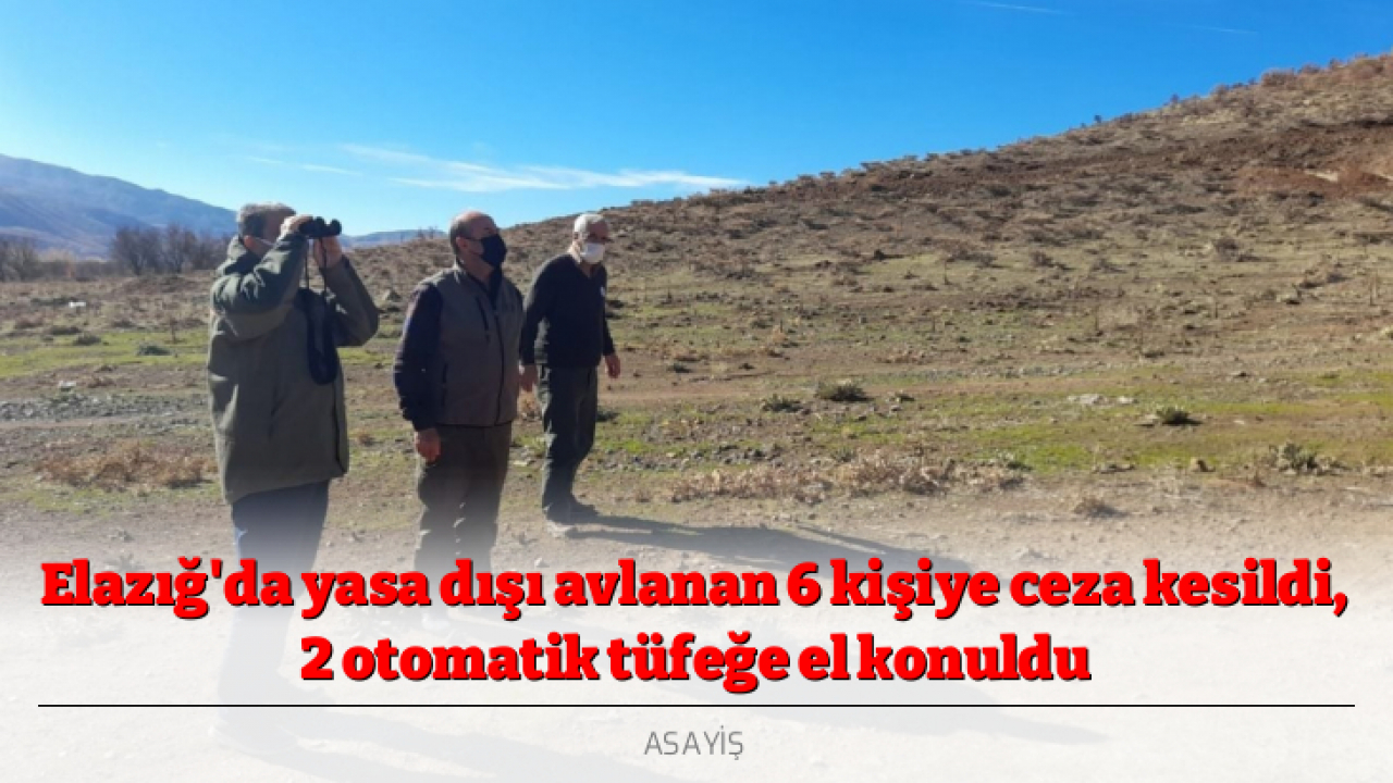 Elazığ'da yasa dışı avlanan 6 kişiye ceza kesildi, 2 otomatik tüfeğe el konuldu