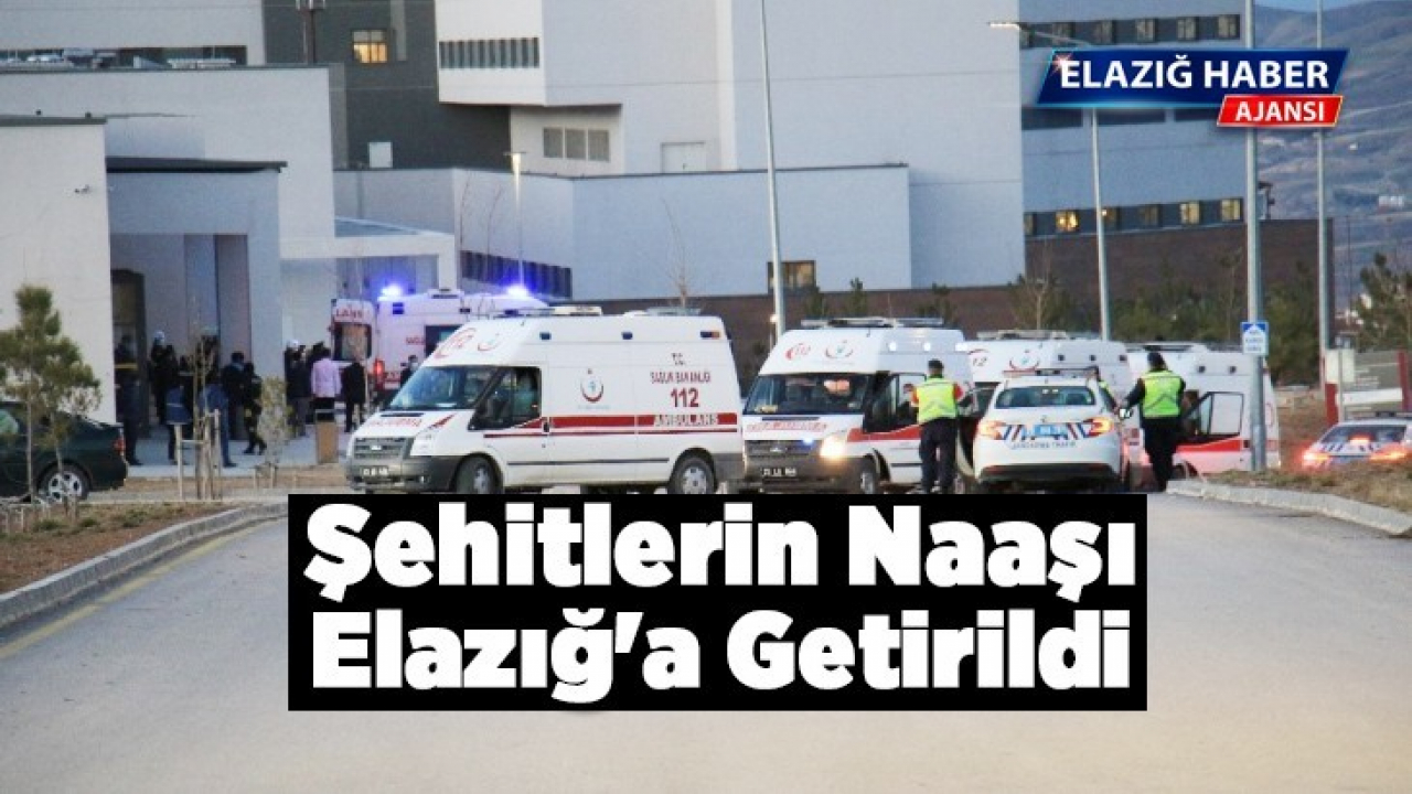 Şehitlerin naaşı Elazığ'a getirildi