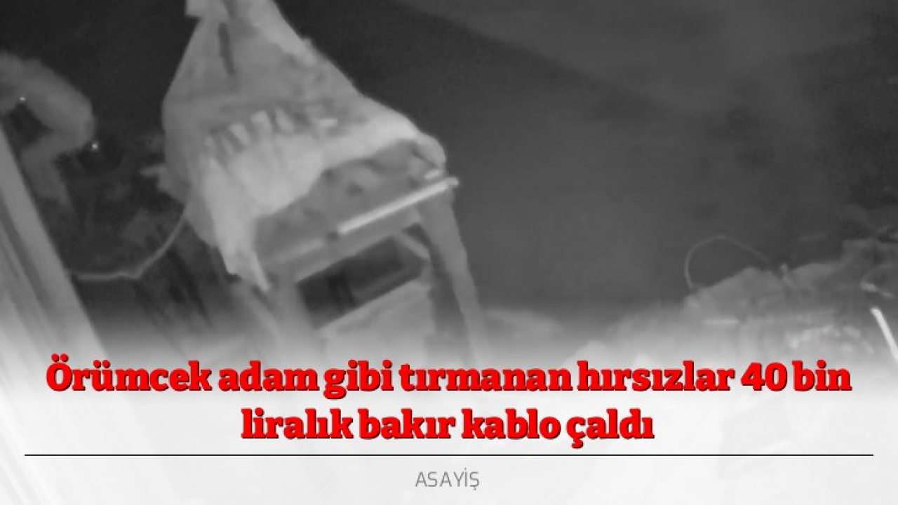 Örümcek adam gibi tırmanan hırsızlar 40 bin liralık bakır kablo çaldı