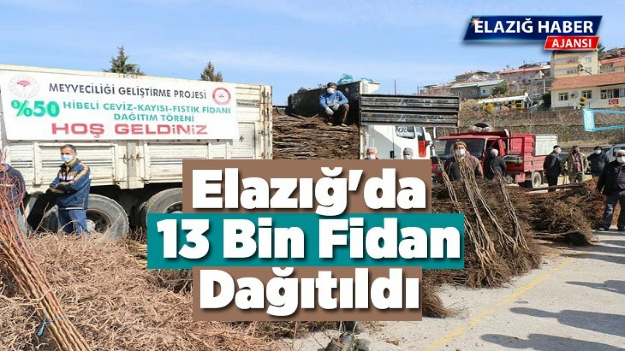Elazığ'da 13 bin fidan dağıtıldı