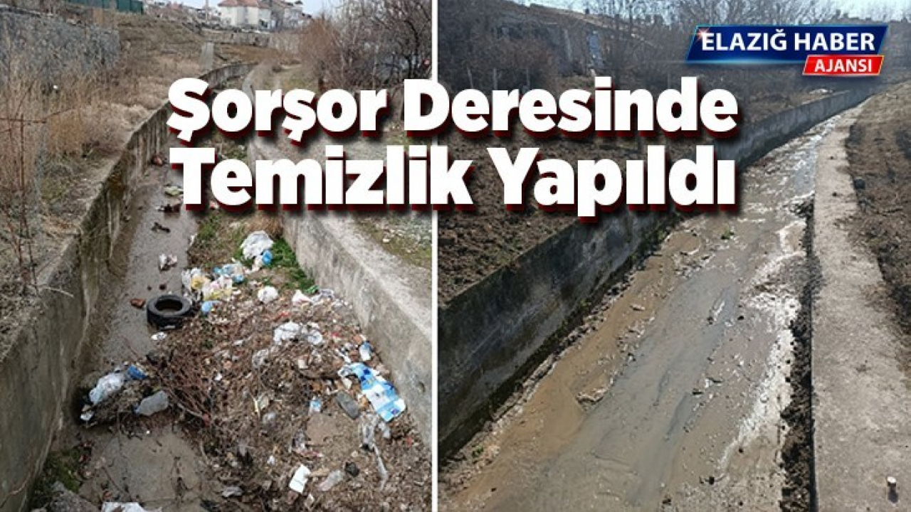 Şorşor Deresinde Temizlik Yapıldı