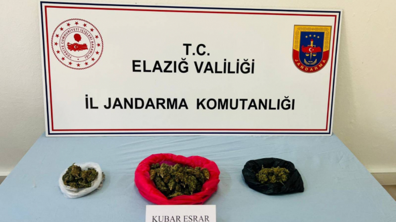 Elazığ'da uyuşturucu madde ticareti yapan şahıs yakalandı