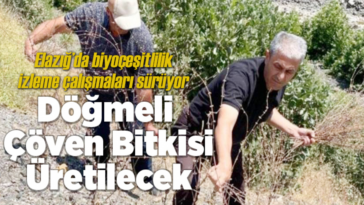 Elazığ'da biyoçeşitlilik izleme çalışmaları sürüyor