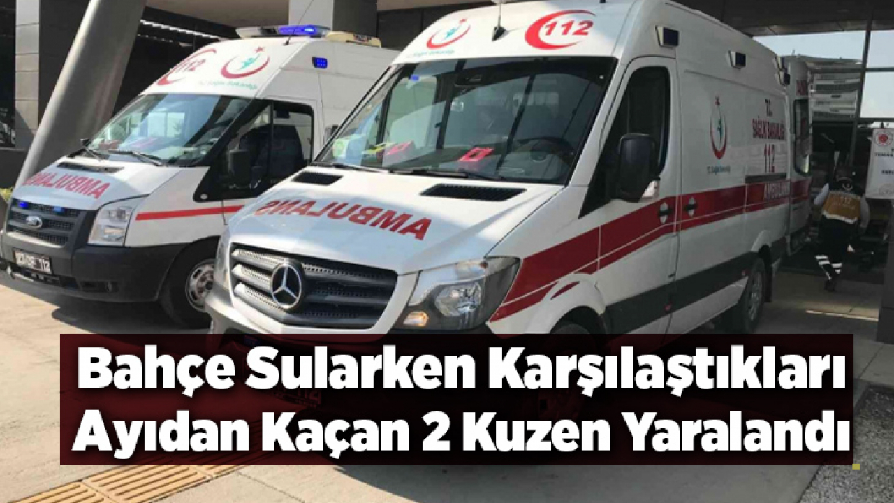 Bahçe sularken karşılaştıkları ayıdan kaçan 2 kuzen yaralandı