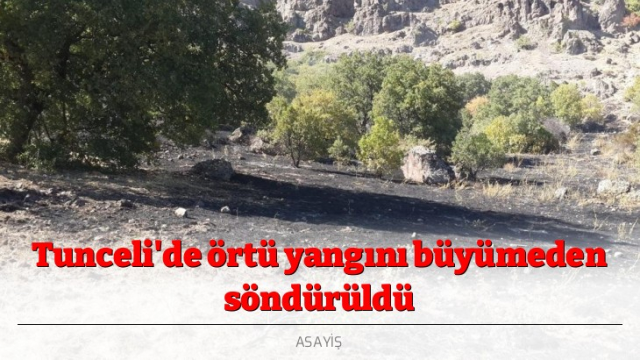 Tunceli'de örtü yangını büyümeden söndürüldü