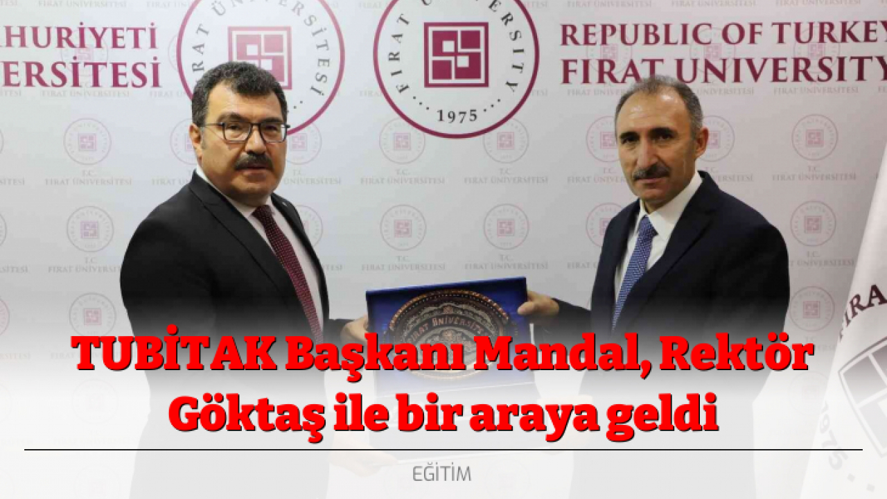 TUBİTAK Başkanı Mandal, Rektör Göktaş ile bir araya geldi