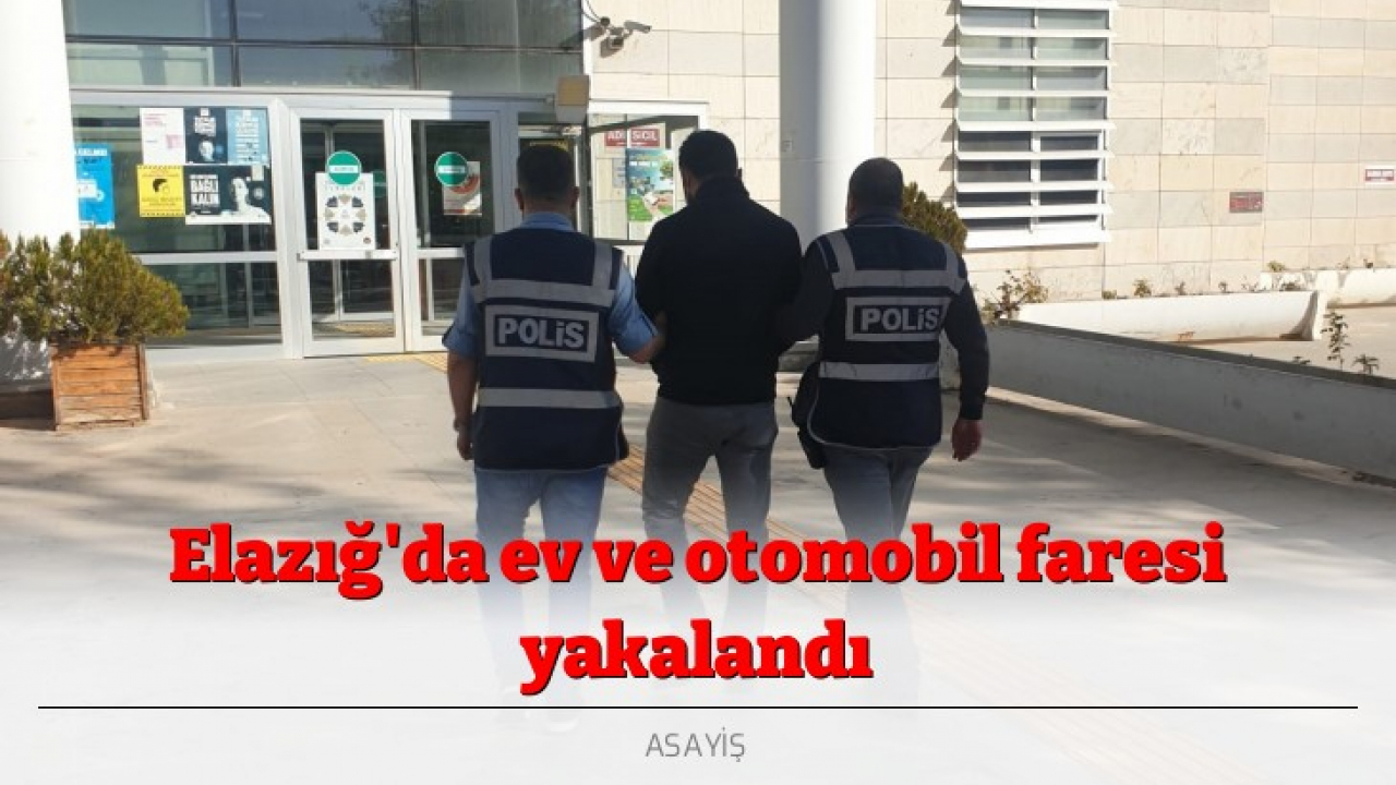 Elazığ'da ev ve otomobil faresi yakalandı