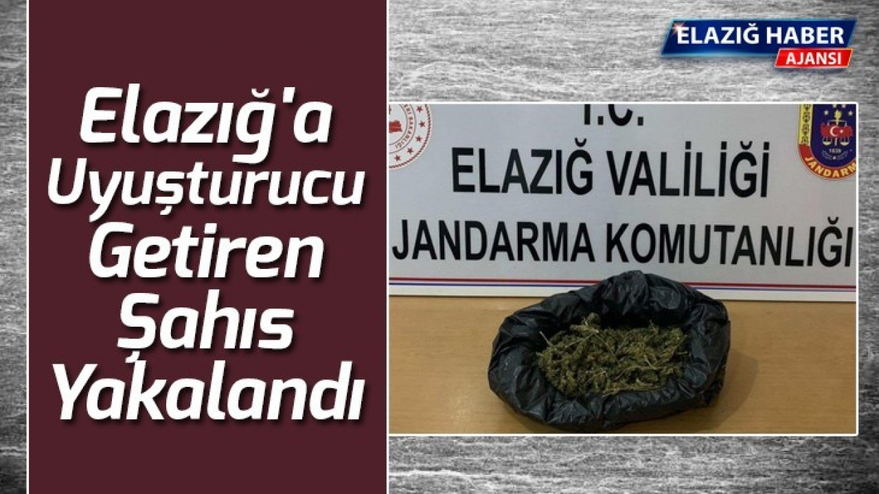 Elazığ'a uyuşturucu getiren şahıs yakalandı