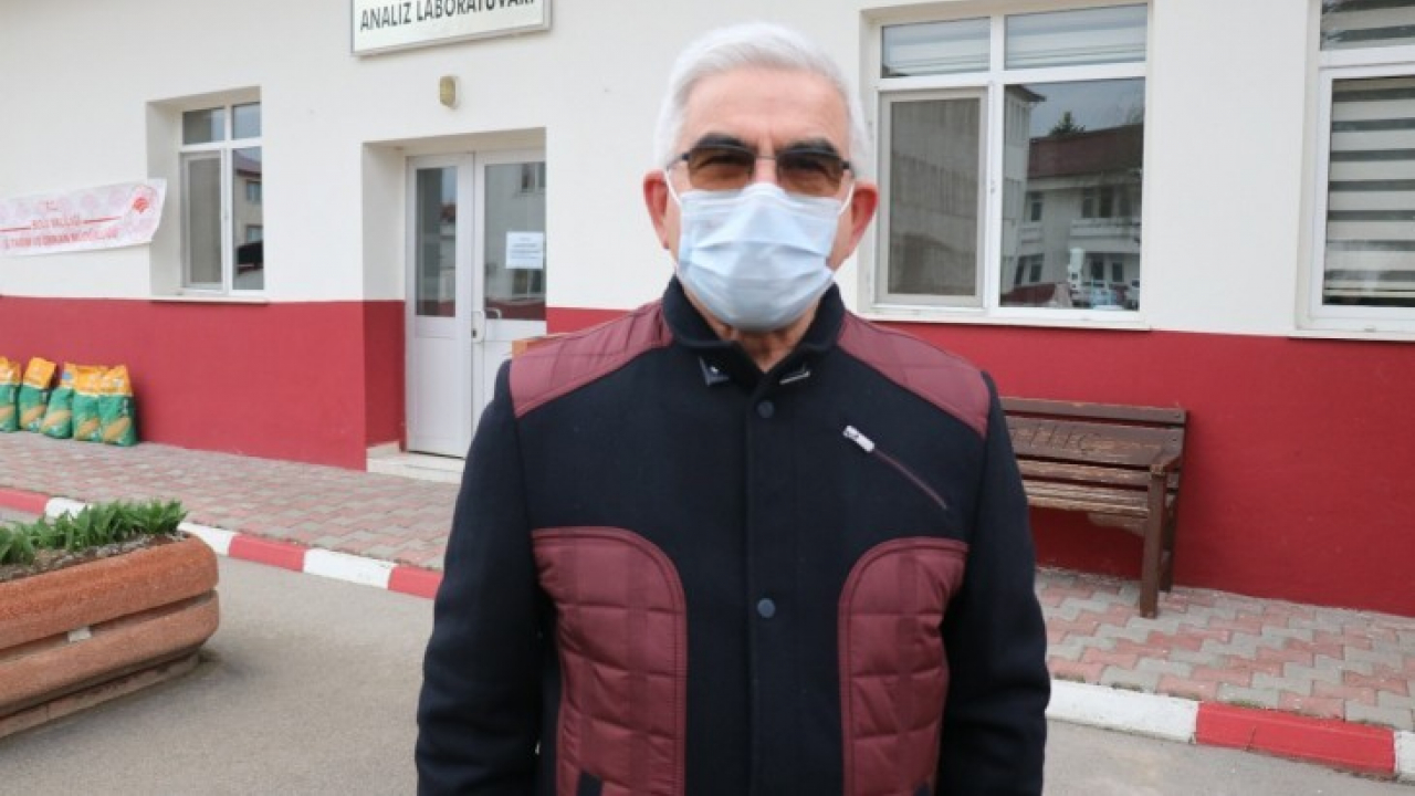 Arılar üşüme tehlikesiyle karşı karşıya