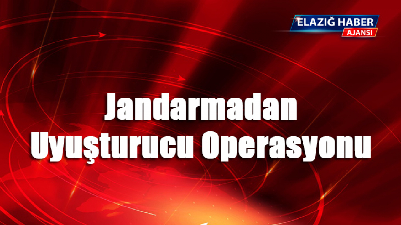 Jandarmadan uyuşturucu operasyonu